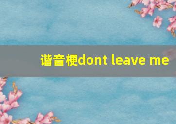 谐音梗dont leave me